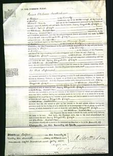 Court of Common Pleas - Mary Elizabeth Leigh and Alethea Middleton-Original Ancestry