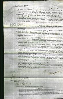 Court of Common Pleas - Mahlda Sellick Starmer, Mary Ann Noble and Annie Staff-Original Ancestry