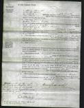 Court of Common Pleas - Jemima Dexter-Original Ancestry