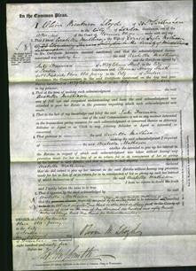 Court of Common Pleas - Arabella Mathieson-Original Ancestry