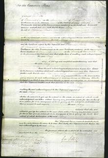 Court of Common Pleas - Mary Malin-Original Ancestry