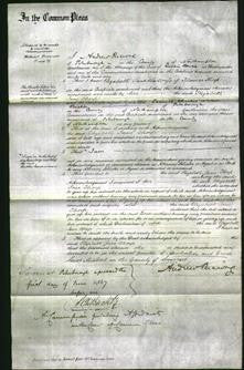 Court of Common Pleas - Elizabeth Jane Thorp-Original Ancestry