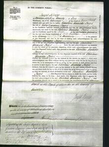 Court of Common Pleas - Caroline Matilda Baget-Original Ancestry