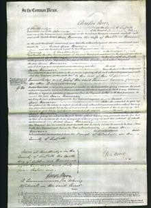 Court of Common Pleas - Ann Newson-Original Ancestry