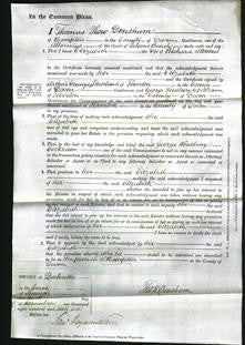 Court of Common Pleas - Elizabeth Stevens-Original Ancestry