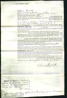 Court of Common Pleas - Jane Somerset-Original Ancestry