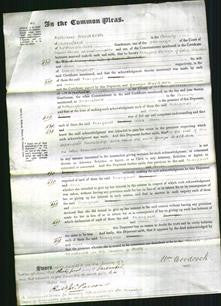 Court of Common Pleas - Margaret Boncher and Ann Mycroft-Original Ancestry