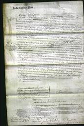 Court of Common Pleas - Ann Hart-Original Ancestry