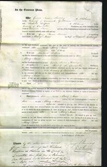 Court of Common Pleas - Marry Anne Collinge-Original Ancestry