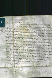 Court of Common Pleas - Mary Gange-Original Ancestry