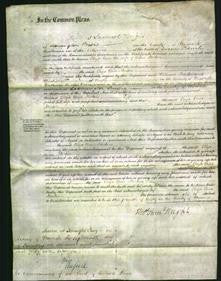 Court of Common Pleas - Eliza Ann Morton-Original Ancestry