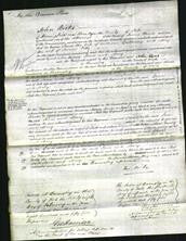 Court of Common Pleas - Jane Galloway-Original Ancestry