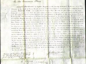 Court of Common Pleas - Ann Giltrow-Original Ancestry