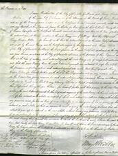 Court of Common Pleas - Fanny Lapington-Original Ancestry