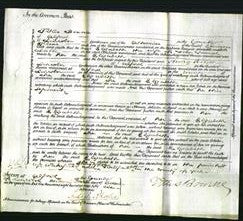 Court of Common Pleas - Elizabeth Lister-Original Ancestry