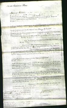 Court of Common Pleas - Elizabeth Ironside-Original Ancestry