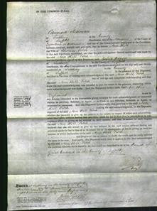 Court of Common Pleas - Ann Hill Fitch-Original Ancestry