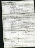 Court of Common Pleas - Mary Thornton-Original Ancestry