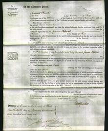 Court of Common Pleas - Sarah Buttenden-Original Ancestry