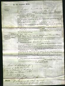 Court of Common Pleas - Elizabeth Jukes-Original Ancestry