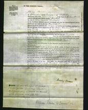 Court of Common Pleas - Elizabeth Scuireney-Original Ancestry