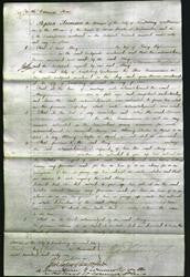 Court of Common Pleas - Mary Rye-Original Ancestry