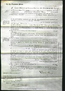 Court of Common Pleas - Rachel Evans-Original Ancestry