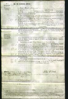 Court of Common Pleas - Mary Attwood and Elizabeth Selby-Original Ancestry