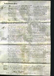 Court of Common Pleas - Martha Hodges Tuckett-Original Ancestry