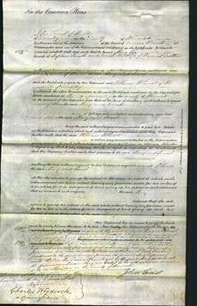 Court of Common Pleas - Mary Smith, Sarah Dutton-Original Ancestry