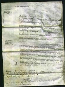 Court of Common Pleas - Eliza Anne Newmarch-Original Ancestry