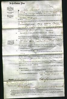 Court of Common Pleas - Lucy Robinson-Original Ancestry