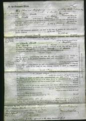 Court of Common Pleas - Eliza Hawson-Original Ancestry