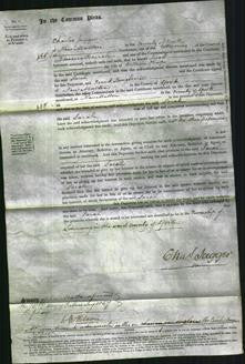 Court of Common Pleas - Sarah Sharpe-Original Ancestry