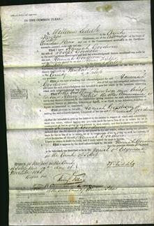 Court of Common Pleas - Hannah Goodwin-Original Ancestry