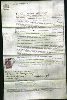 Court of Common Pleas - Lawson Sarah Mithcell-Original Ancestry