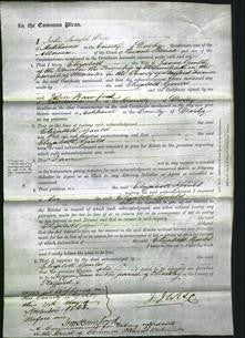 Court of Common Pleas - Elizabeth Gould-Original Ancestry
