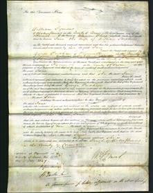 Court of Common Pleas - Jane Stephens-Original Ancestry