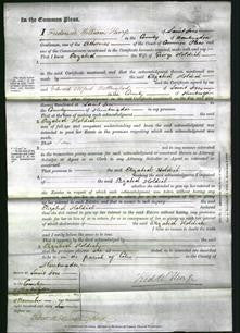 Court of Common Pleas - Elizabeth Holdich-Original Ancestry