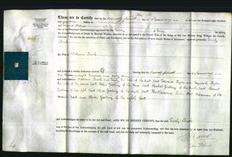 Deed by Married Women - Emily Buck-Original Ancestry