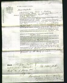 Court of Common Pleas - Elizabeth Norton-Original Ancestry