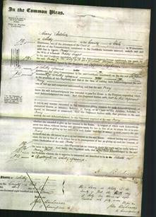 Court of Common Pleas - Mary Suggit-Original Ancestry