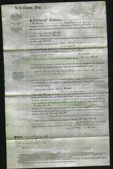 Court of Common Pleas - Emily Buck-Original Ancestry