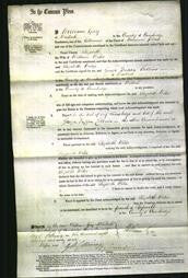 Court of Common Pleas - Elizabeth Wiles-Original Ancestry