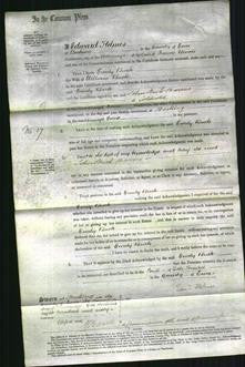 Court of Common Pleas - Emily Buck-Original Ancestry