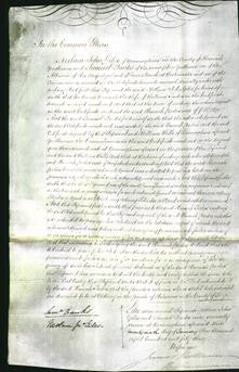Court of Common Pleas - Hannah Parkes-Original Ancestry