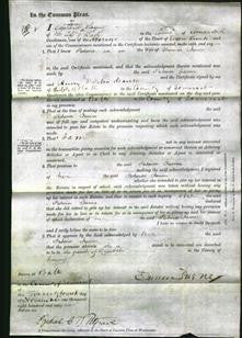 Court of Common Pleas - Patience James-Original Ancestry