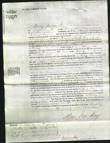 Court of Common Pleas - Mary Brandretts-Original Ancestry