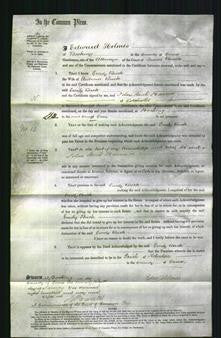 Court of Common Pleas - Emily Buck-Original Ancestry