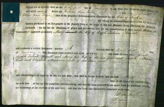 Deed by Married Women - Mary Shewell-Original Ancestry